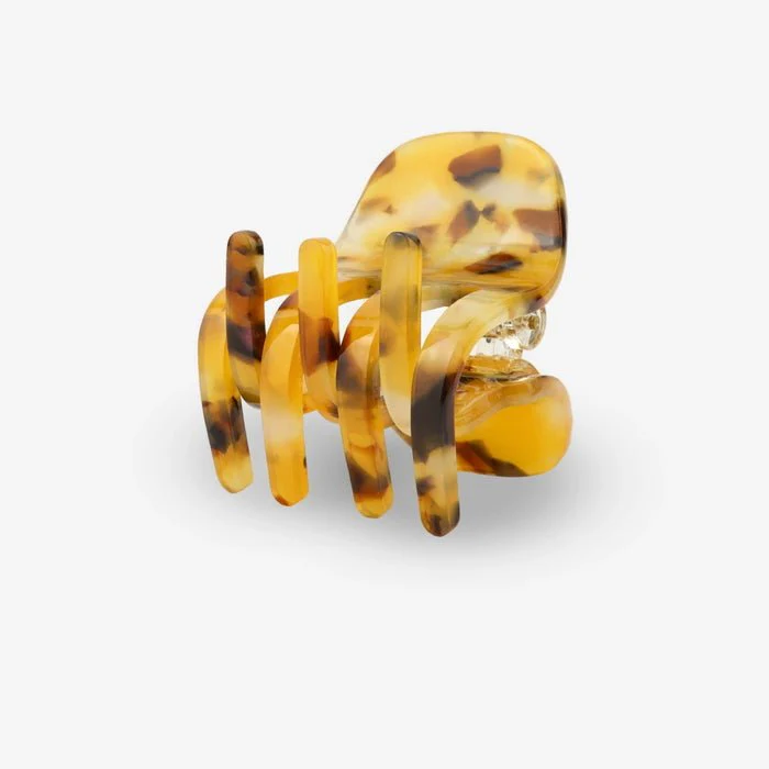 patte de tigre – Image 2