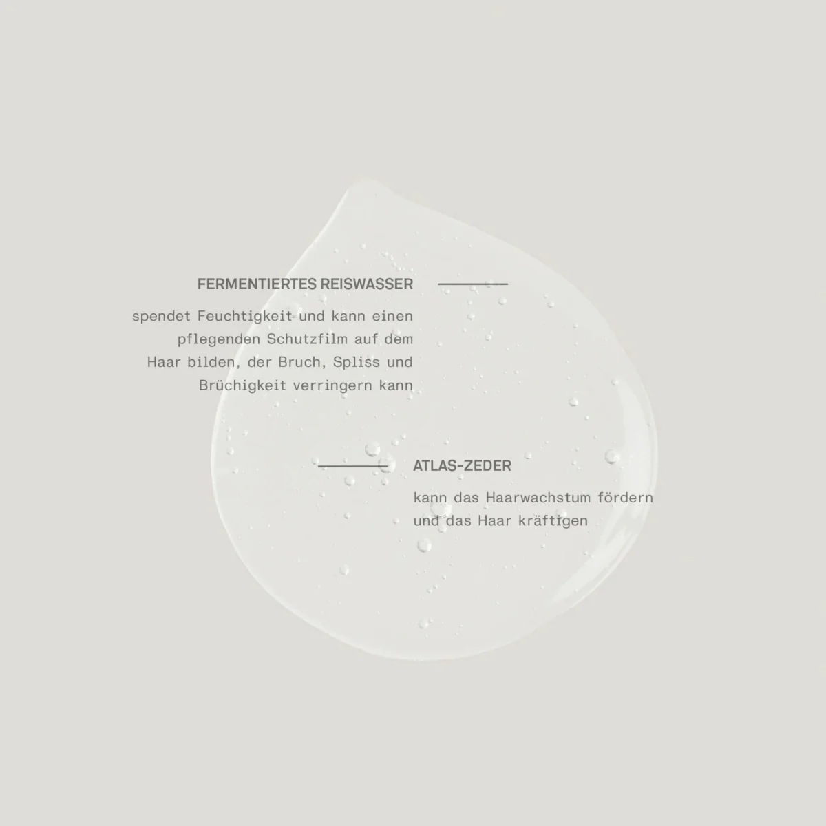 Lavage capillaire régénérant – Image 2