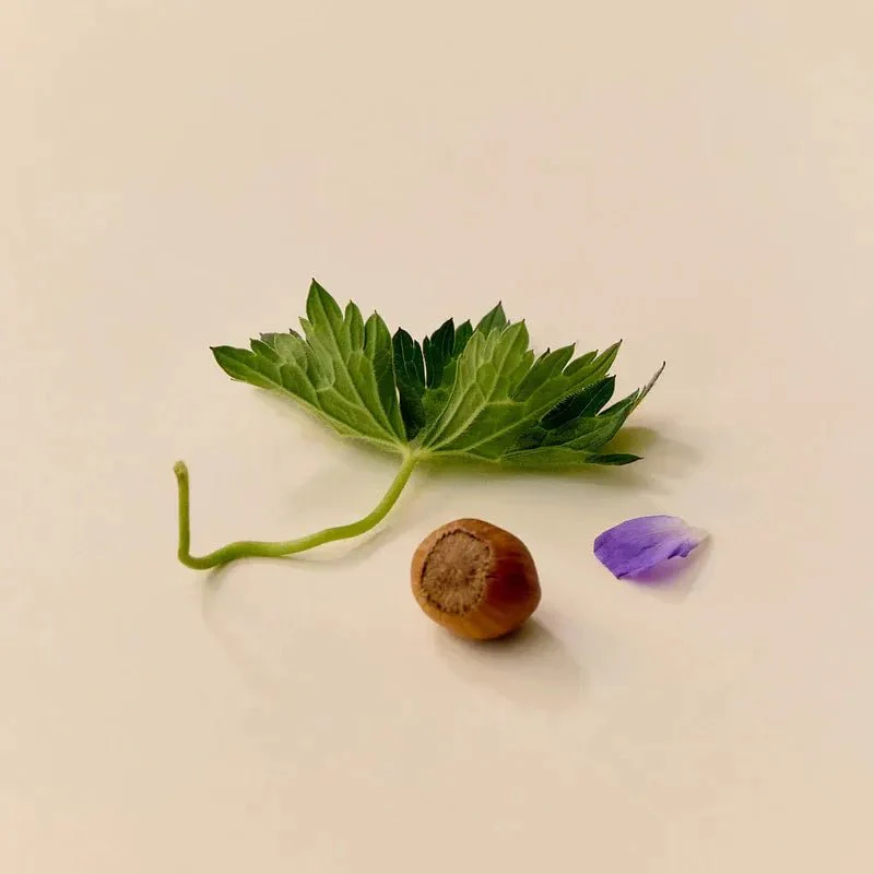 L'Éclat du Matin 30ml – Image 6