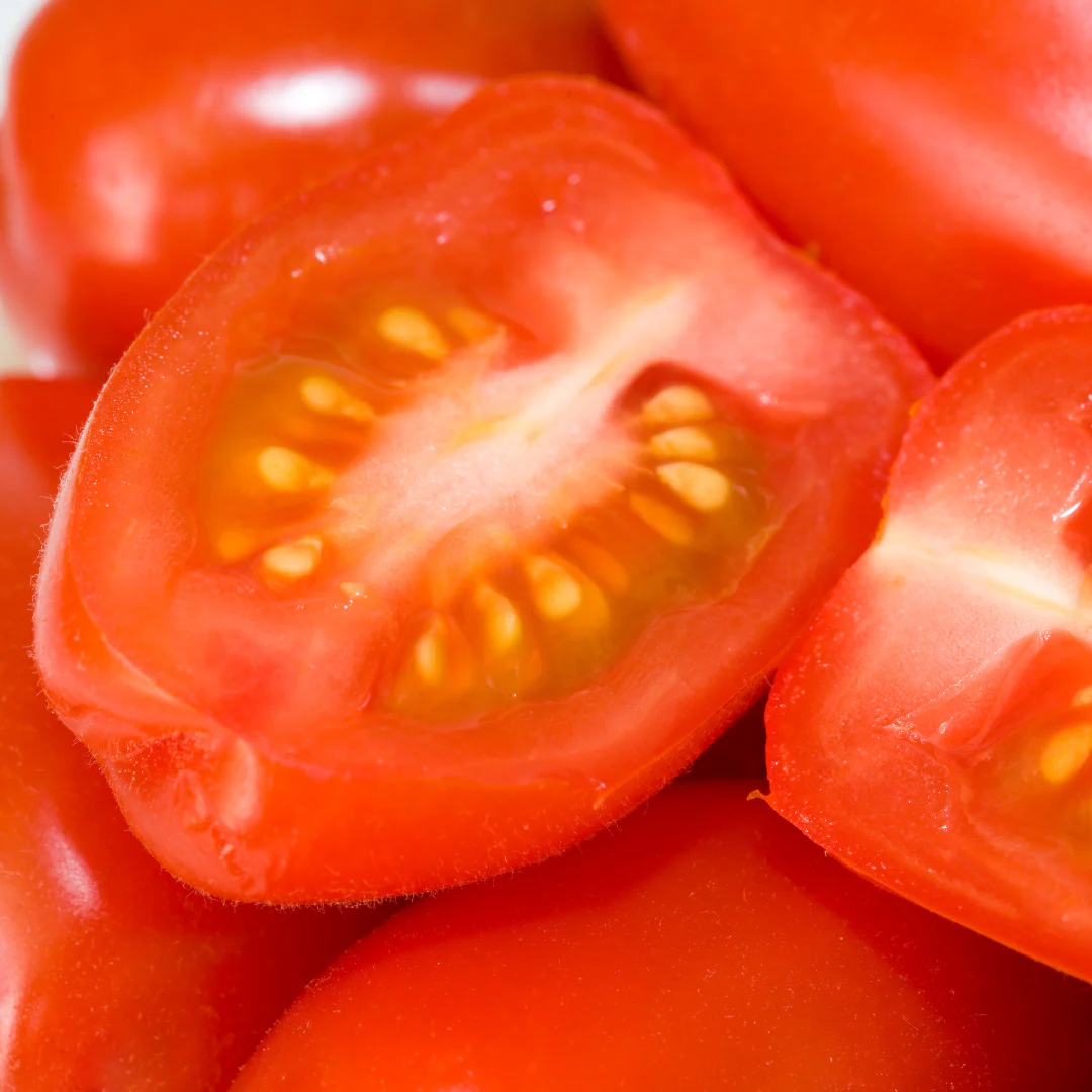 Tomate italienne roma patio 'Little Napoli' (plant BIO)