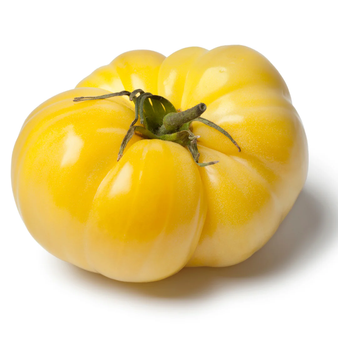 Tomate standard jaune Beefsteak 'Ananas' (plant BIO)