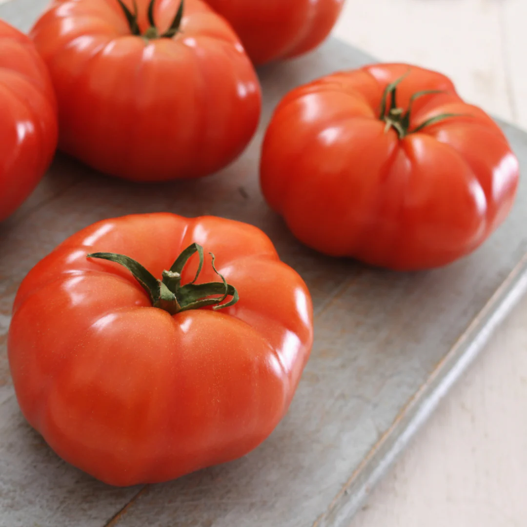 Tomate standard rouge Beefsteak 'Big Beef' (plant BIO)