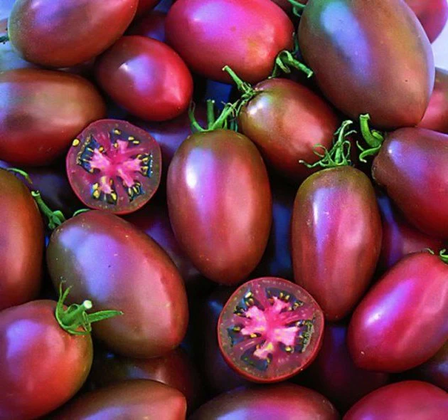 Tomate italienne 'Ukrainian Purple' (plant BIO)
