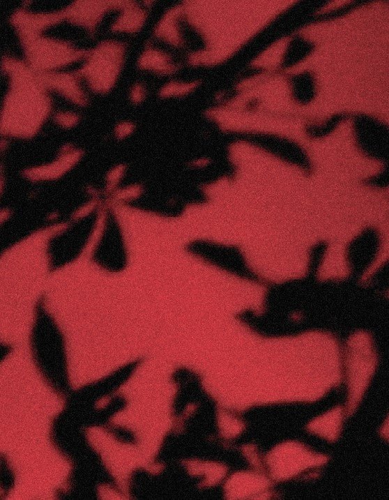 La Couleur de la Nuit – Image 4