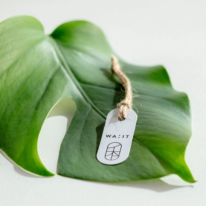 Eau de Parfum HITO – Image 6